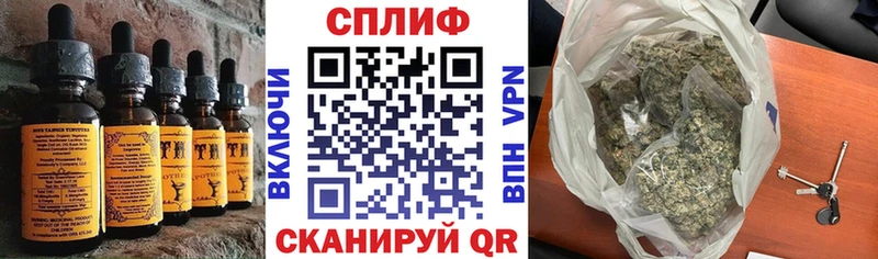 где купить наркотик  Кызыл  Еда ТГК конопля 