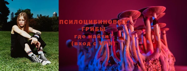 СК Абаза