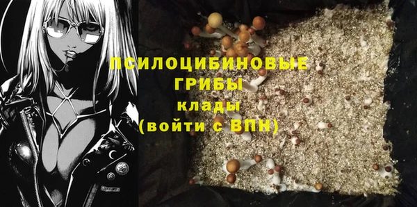 индика Абдулино