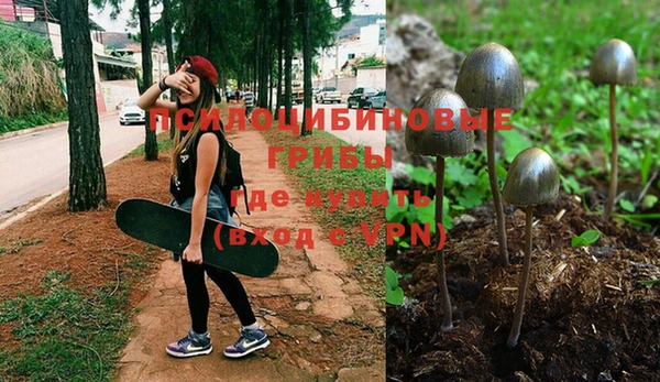 spice Алзамай