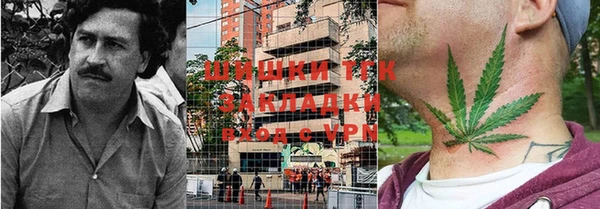 ешки Алексин