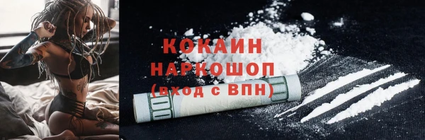 spice Алзамай