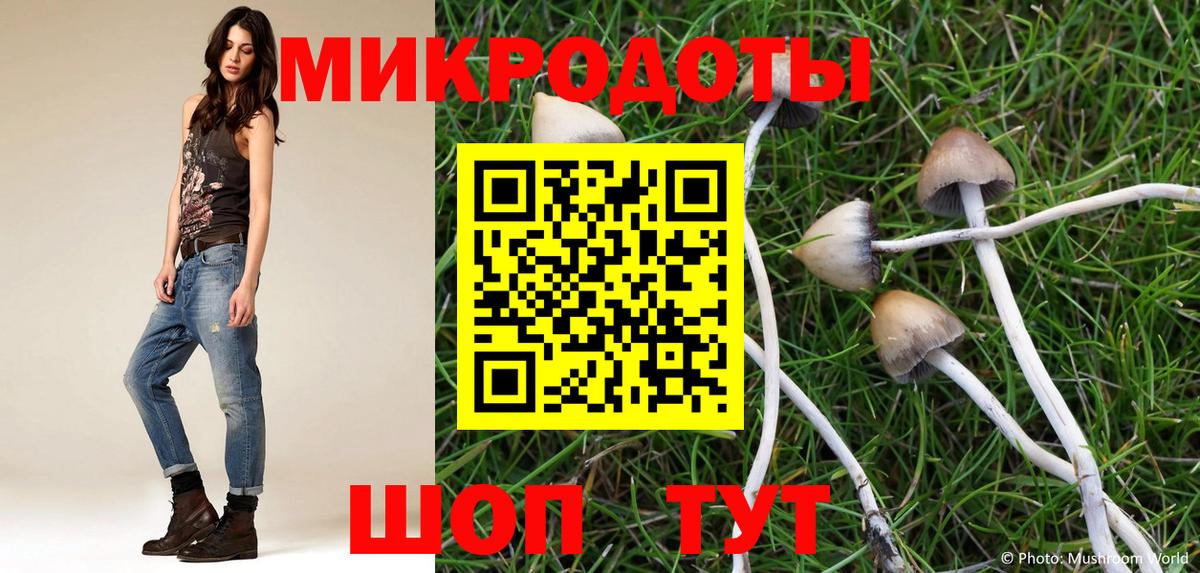 Галлюциногенные грибы прущие грибы Кызыл