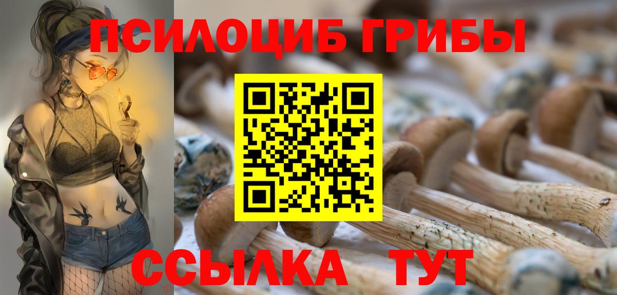 Кызыл  Галлюциногенные грибы GOLDEN TEACHER  Вход с VPN 