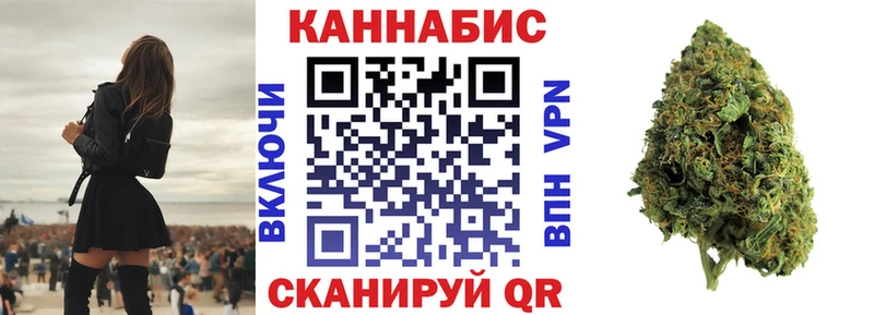 Канабис сатива  Кызыл 